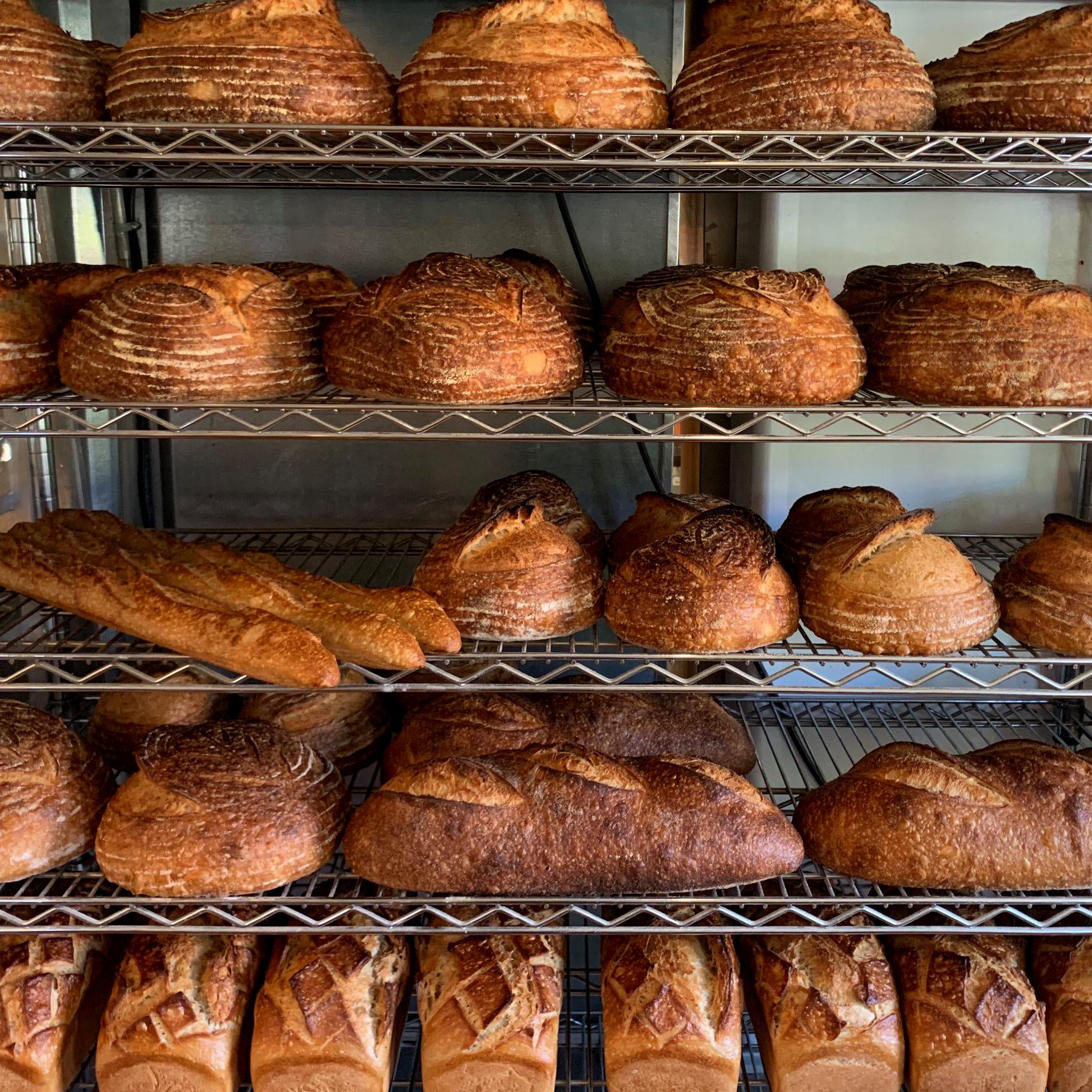 Artisan loaves on bakery cooling racks